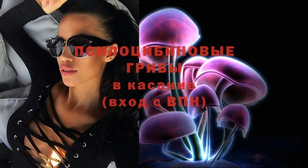 а пвп мука Бородино