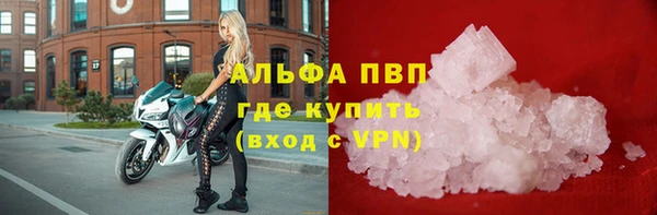 ПСИЛОЦИБИНОВЫЕ ГРИБЫ Бугульма