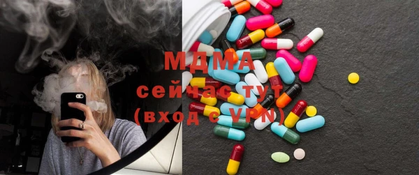 индика Богданович