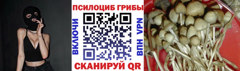 Галлюциногенные грибы ЛСД Королёв